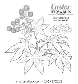 castor vector set on white background