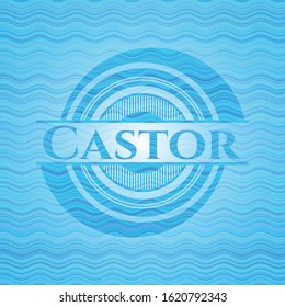 Castor water wave representation badge. Vector Illustration. Detailed.