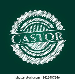 Castor written on a chalkboard. Vector Illustration. Detailed.