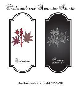 Castorbean, or Castor-oil-plant (Ricinus communis), medicinal plant. Hand drawn botanical vector illustration