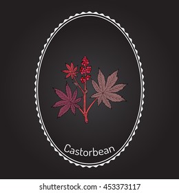 Castorbean, or Castor-oil-plant (Ricinus communis), medicinal plant. Hand drawn botanical vector illustration