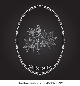 Castorbean, or Castor-oil-plant (Ricinus communis), medicinal plant. Hand drawn botanical vector illustration