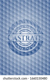 Castrate blue emblem or badge with abstract geometric pattern background. Vector Illustration. Detailed.