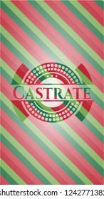 Castrate christmas colors style emblem.