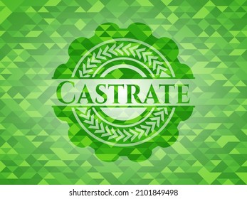 Castrate green emblem with mosaic background. Vector Illustration. Detailed. 