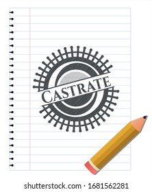 Castrate pencil emblem. Vector Illustration. Detailed.