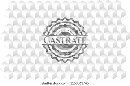 Castrate realistic grey emblem with cube white background