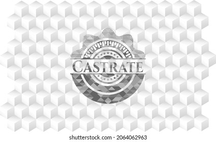 Castrate realistic grey emblem with cube white background. 