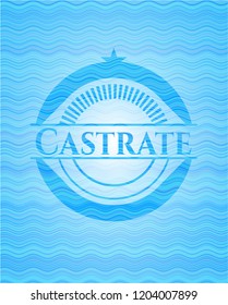 Castrate water representation badge.