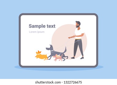 casual man dog walker guy walking with many dogs owner with pets different breeds male cartoon character full length flat copy space horizontal