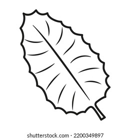 Casual sharp leaf in a single black line, decorative art, isolated object, botanical vector illustration, decorative print.