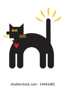 Cat 02