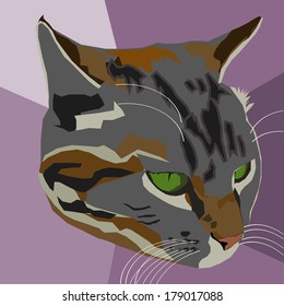 cat