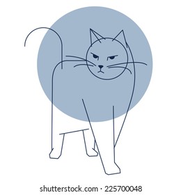 cat