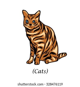 cat