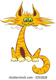 cat