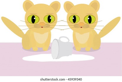 cat
