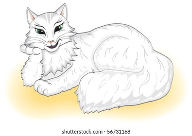 cat