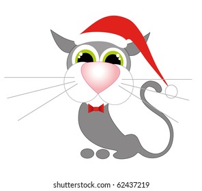 cat