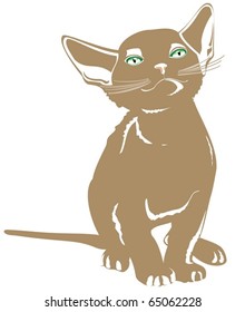 cat