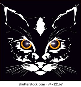 cat,