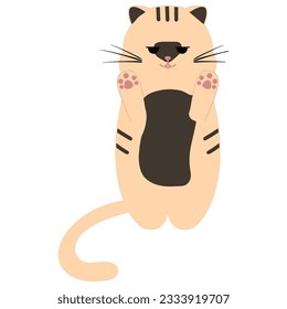 cat 2d drawing  on white background