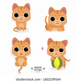 Cat with 4 acts following Idle, lie down, supine, and possessive the ball.