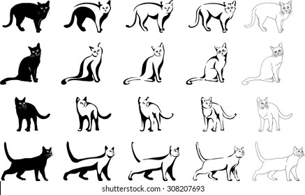 Cat, 5 variants of the image, vector, illustration