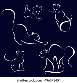 cat abstract lines on a dark background vector