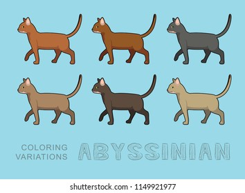 Cat Abyssinian Coloring Variations Vector Illustration