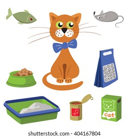 Cat and accessories for care. Vector illustration