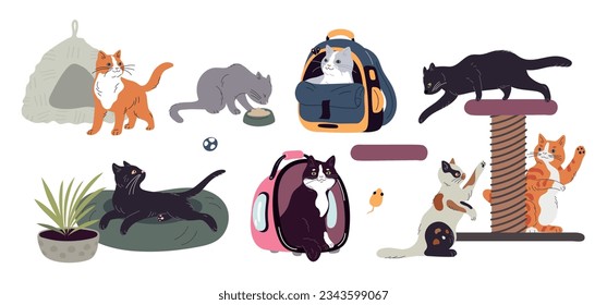 Cat accessories. Domestic animals care veterinary elements. Sun beds for kittens. Feline carriers and scratching posts. Happy pets. Cute kitty in bag. Cozy pillows