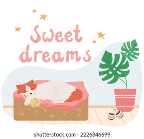 Cat accessories flat composition with ornate text stars home plant and cat sleeping in soft bed vector illustration