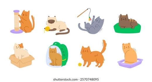 Cat with accessories isolated set. Cartoon vector flat cats with supplies. Cute pets bundle.