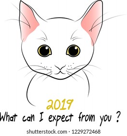 Cat adoption card: A helpless cat character facing. Lettering: 2019 - What can I expect from you? Best Friends.
