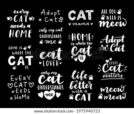 Cat adoption phrase black and white poster. Inspirational quotes about domestical pets adoption. Hand written phrases for poster, cat adoption lettering. Adopt a cat.