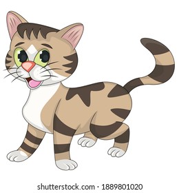 Cat adorable and funny cartoon vector illustration
