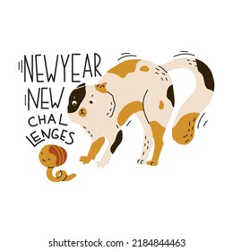 The cat is afraid of the orange. New year new challenges quote. New year sticker with funny cat. Greeting card for holiday party. Flat style in vector illustration. Isolated object. 