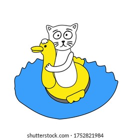 Die Katze hat Angst zu schwimmen. Er schwimmt auf einer Rettungsboje.