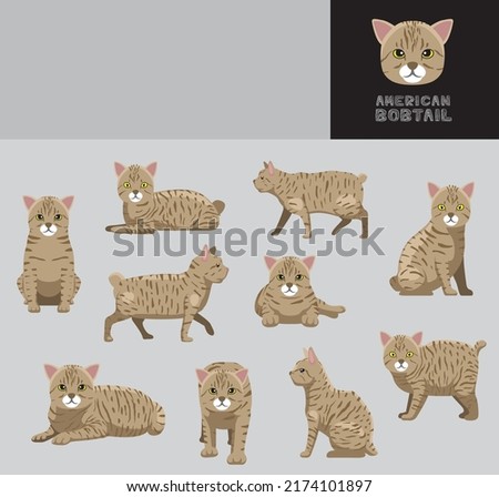 Cat American Bobtail Cartoon Vector Illustration Color Variation Set