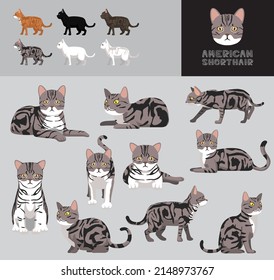 Cat American Shorthair Cartoon Vektor Illustration Color Variation Set