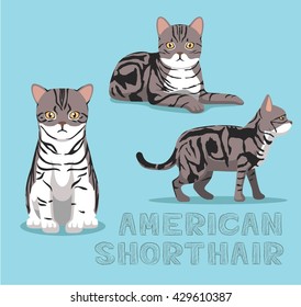 Cat American Shorthair Cat Cartoon Vector Illustration