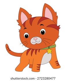 Gato está enojado sobre un fondo blanco