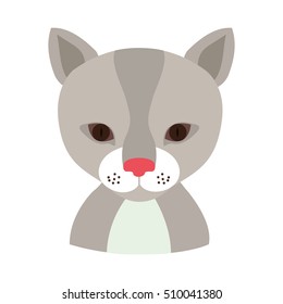 cat animal cartoon