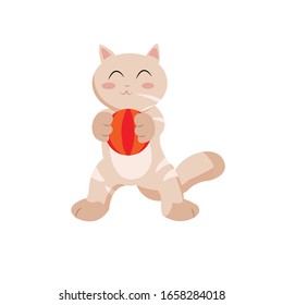 Cat Animal Cartoon Vector Illustration 