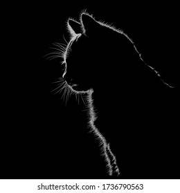 Ilustración de animales de gato, vectores en blanco y negro