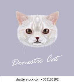 Cat animal cute face. Vector funny white vanilla tabby cat head portrait. Realistic fur portrait of domestic striped brown eyes kitty isolated on gray background.