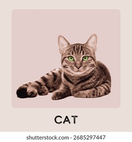 Animal del gato en estilo plano. diseño de Vector aislado en el fondo