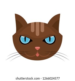 Cat animal head
