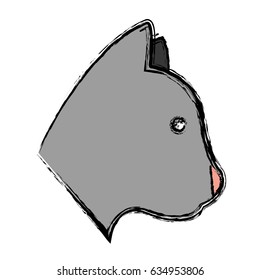 cat animal icon